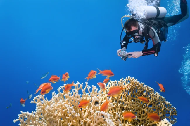 redsea underwater photographer underwater photography red sea