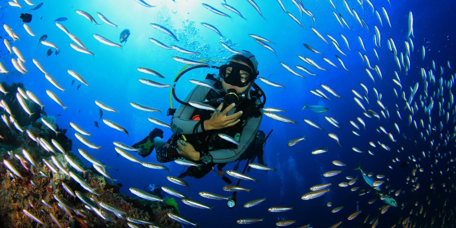 scuba certification hurghada learn to dive hurghada