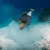 titan triggerfish