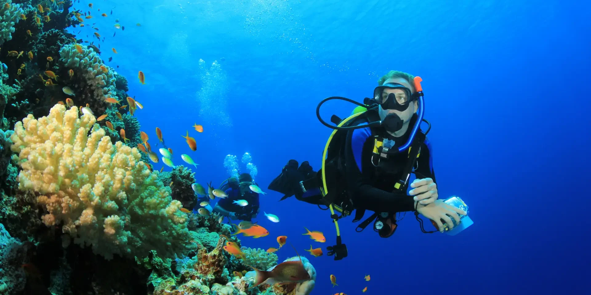 hurghada safe diving hurghada safe diving