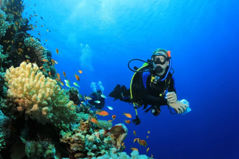 hurghada safe diving