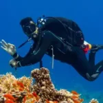 learn to dive in hurghada