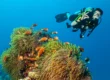 nitrox diving hurghada