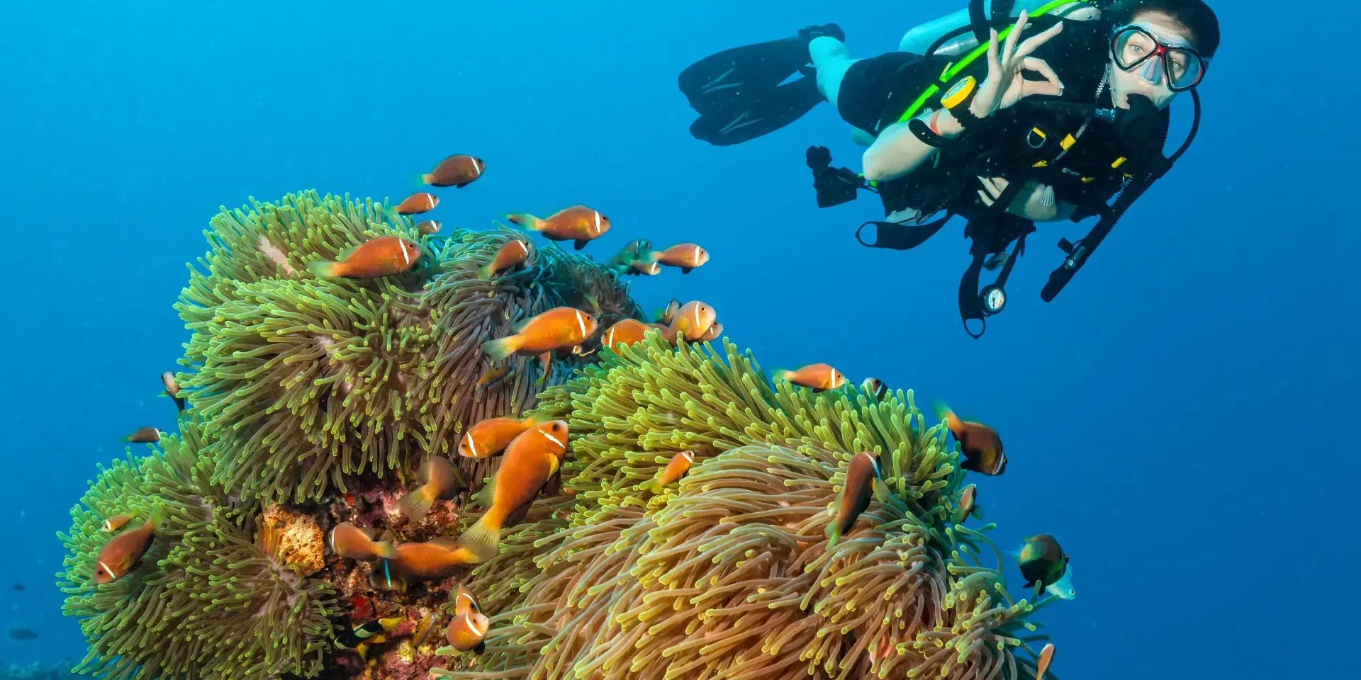 nitrox diving hurghada