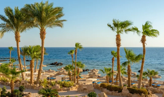 sahl hasheesh in hurghada sahl hasheesh in hurghada