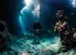 underwater photographer