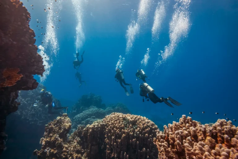 rescue diver red sea