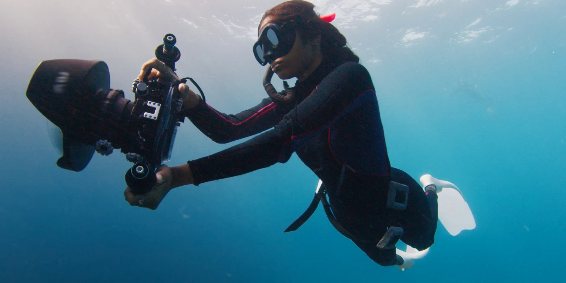 underwater photography in egypt