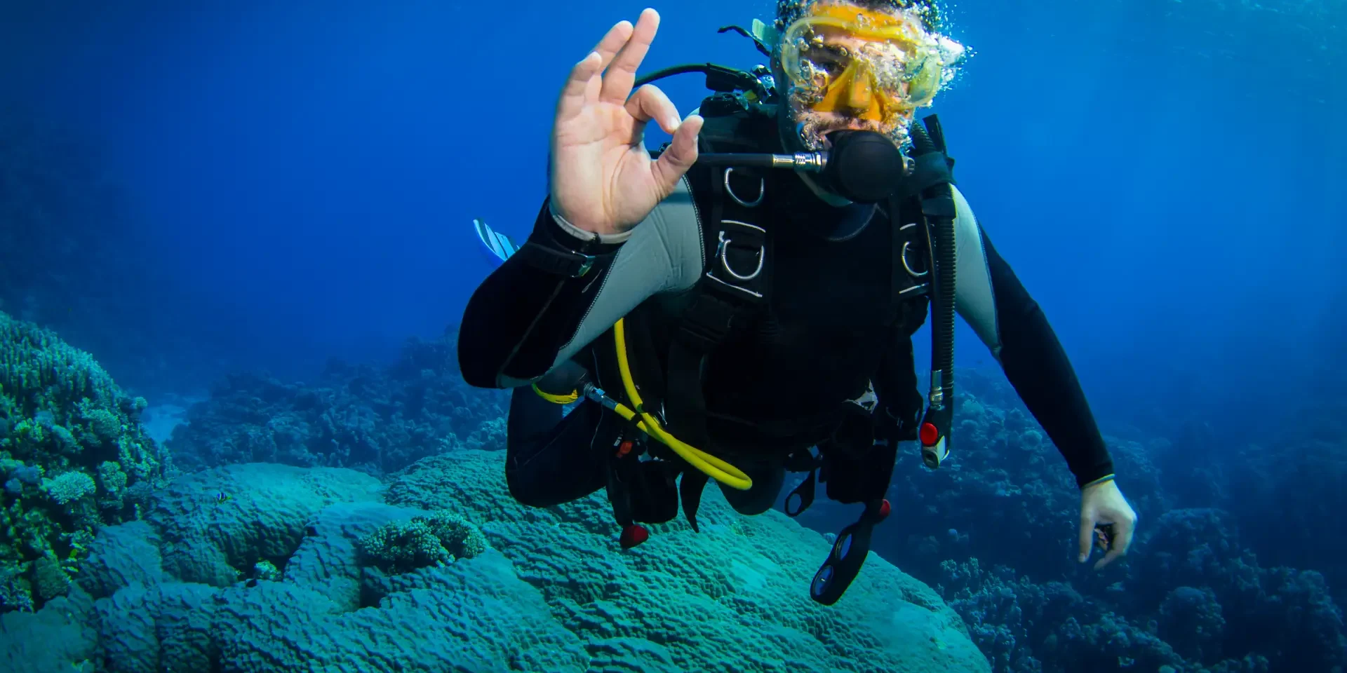 health benefits diving health benefits of diving