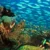private scuba courses